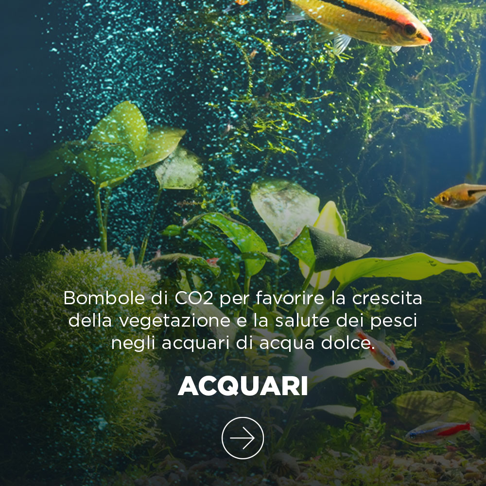 ACQUARIBombole di CO2 per favorire la crescita della vegetazione e la salute dei pesci negli acquari di acqua dolce.